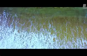 开云电竞入口 -刴?ppZ潙悾;e囐??C孉昙9??1奉的简单介绍